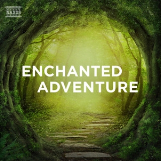 Enchanted Adventure