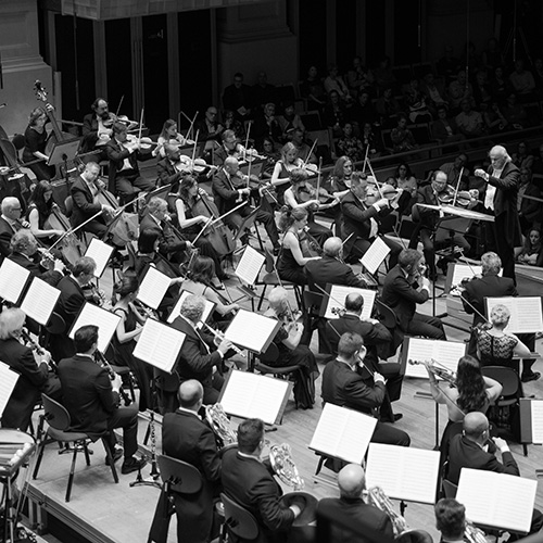 São Paulo Symphony Orchestra | © Mariana Garcia