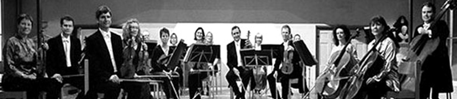 Nicolaus Esterházy Sinfonia