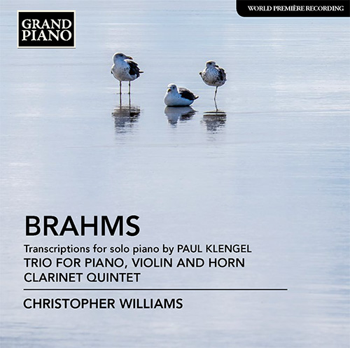 BRAHMS, J.: Trio for Violin, Horn and Piano, Op. 40 / Clarinet Quintet, Op. 115 (arr. P. Klengel for piano)