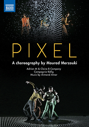 Pixel – a dance programme by Adrien M & Claire B Dance Company
