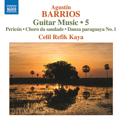 BARRIOS MANGORÉ, A.: Guitar Music, Vol. 5