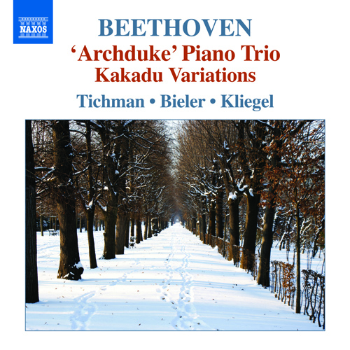 BEETHOVEN, L. van: Piano Trios, Vol. 5 – Piano Trios No. 7, ‘Archduke’ and WoO 38 • Variations on Ich bin der Schneider Kakadu