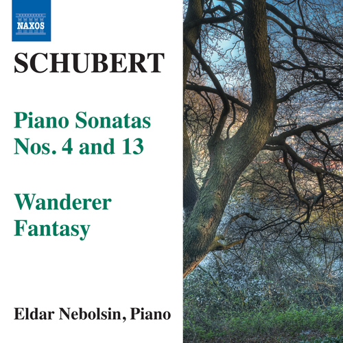 SCHUBERT, F.: Piano Sonatas Nos. 4 and 13 • Wanderer Fantasy