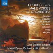 CHORUSES FOR MALE  VOICES AND ORCHESTRA (Lund  Student Singers, Malmö Opera Orchestra, Hold-Garrido)