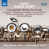 KARG-ELERT, S.: Flute Works (Complete) (Roorda, Tsvereli)