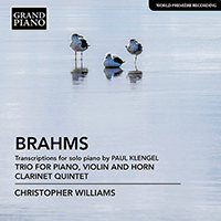 BRAHMS, J.: Trio for Violin, Horn and Piano / Clarinet Quintet (arr. P. Klengel for piano)