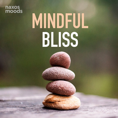 Mindful Bliss